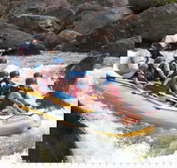 Barron River Half-Day White Water Rafting from Cairns - Accommodation Melbourne