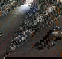 Wirra Wirra Vineyard McLaren Vale Winery Tour and Shiraz Masterclass - Accommodation Melbourne