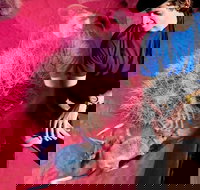 Alice Springs Desert Park General Entry Ticket - Accommodation Melbourne