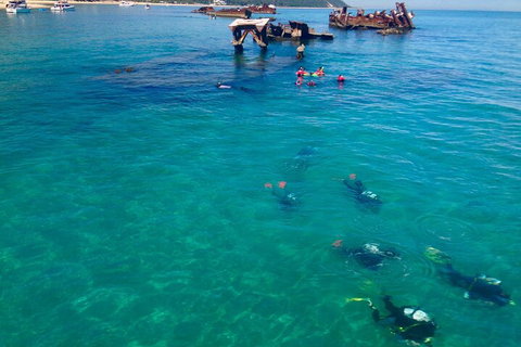 Adventure Moreton Island Scuba Dive Tour - Accommodation Melbourne 0