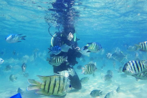 Adventure Moreton Island Scuba Dive Tour - Accommodation Melbourne 1