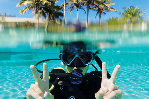 Adventure Moreton Island Scuba Dive Tour - Accommodation Melbourne 2
