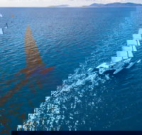 2-Night Whitsunday Islands Sailing Adventure on Trimaran Avatar - Accommodation Melbourne