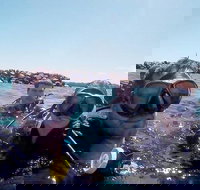 Wave Break Island Scuba Diving on the Gold Coast - Accommodation Melbourne