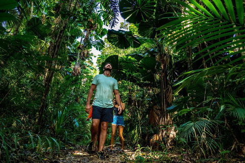 Full Day Daintree Rainforest And Mossman Gorge Tour - Accommodation Melbourne 0