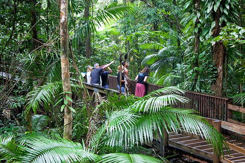 Full Day Daintree Rainforest And Mossman Gorge Tour - Accommodation Melbourne 1