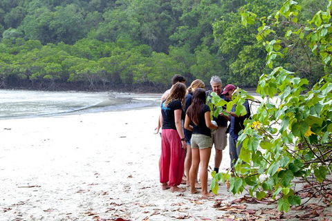Full Day Daintree Rainforest And Mossman Gorge Tour - Accommodation Melbourne 2