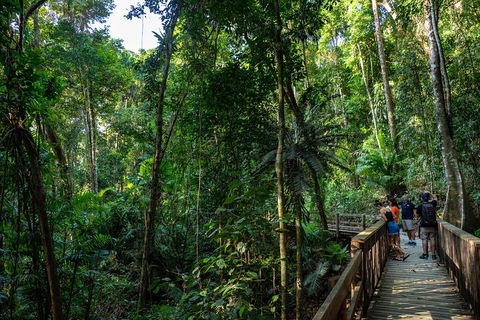 Full Day Daintree Rainforest And Mossman Gorge Tour - Accommodation Melbourne 5