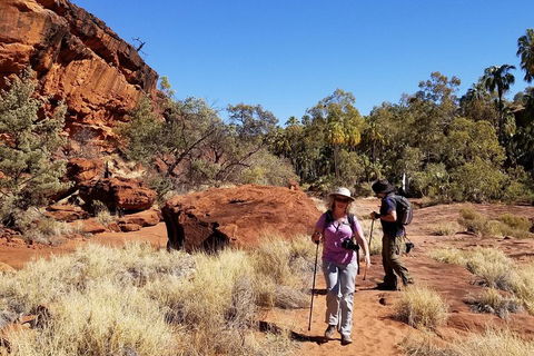 Palm Valley And Hermannsburg 1 Day 4WD Tour - Accommodation Melbourne 1