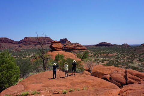 Palm Valley And Hermannsburg 1 Day 4WD Tour - Accommodation Melbourne 2