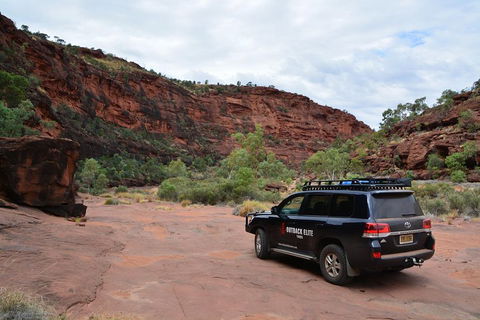 Palm Valley And Hermannsburg 1 Day 4WD Tour - Accommodation Melbourne 5