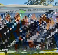 Full Day Mount Tamborine Winery Tour from Gold Coast - Melbourne 4u