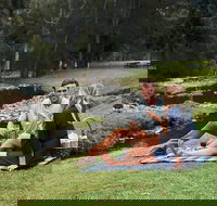 Mt Tamborine - Hinterland Wonders Self Guided - Accommodation Melbourne