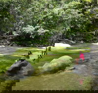 Daintree Dreaming Traditional Aboriginal Fishing from Cairns or Port Douglas - Melbourne 4u