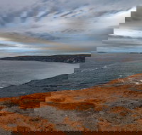 Kangaroo Island Luxury Small Group 'Flinders Chase Focus' Full Day Tour - Accommodation Melbourne