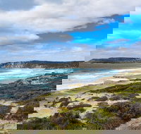 Kangaroo Island Luxury Small Group 'East End Explorer' Full Day Tour - Accommodation Melbourne