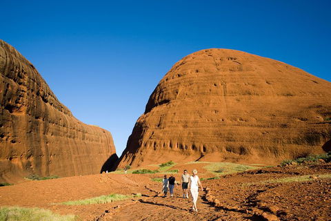Afternoon Kata Tjuta Small Group Tour - Accommodation Melbourne 1