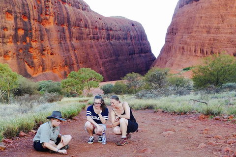 Afternoon Kata Tjuta Small Group Tour - Accommodation Melbourne 2