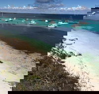 Experience Rottnest with Ferry  Bike Hire from Perth or Fremantle - Melbourne 4u
