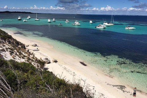 Experience Rottnest With Ferry & Bike Hire From Perth Or Fremantle - Melbourne 4u 0