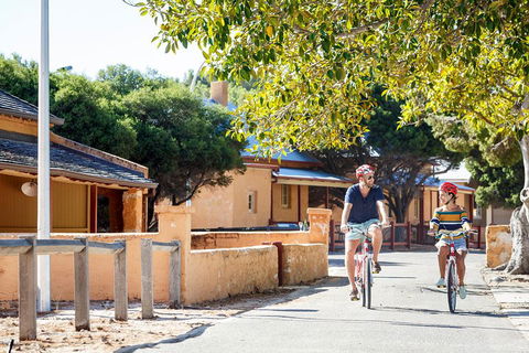 Experience Rottnest With Ferry & Bike Hire From Perth Or Fremantle - Melbourne 4u 1