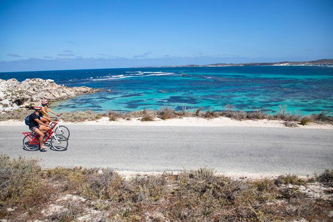 Experience Rottnest With Ferry & Bike Hire From Perth Or Fremantle - Melbourne 4u 2
