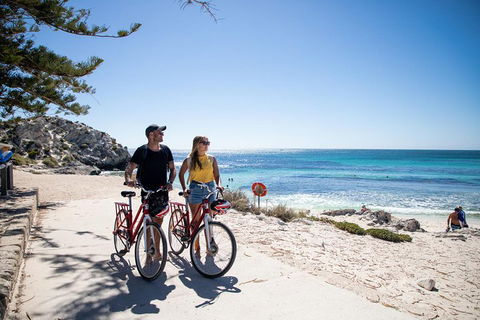 Experience Rottnest With Ferry & Bike Hire From Perth Or Fremantle - Melbourne 4u 4