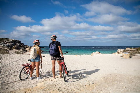 Experience Rottnest With Ferry & Bike Hire From Perth Or Fremantle - Melbourne 4u 5