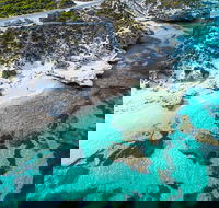 Rottnest Island Round-Trip Ferry from Perth or Fremantle - Melbourne 4u