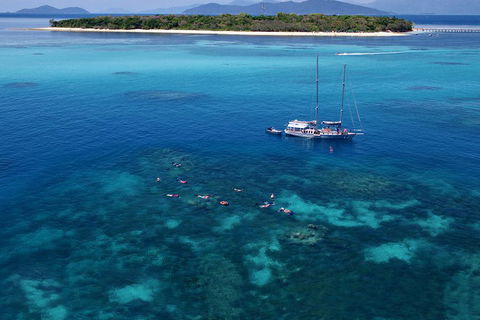 Ocean Free Green Island & Great Barrier Reef Snorkel Cruise, Cairns 25 Guests - Accommodation Melbourne 2