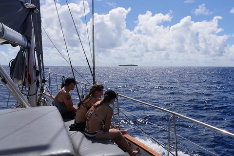 Ocean Free Green Island & Great Barrier Reef Snorkel Cruise, Cairns 25 Guests - Accommodation Melbourne 4