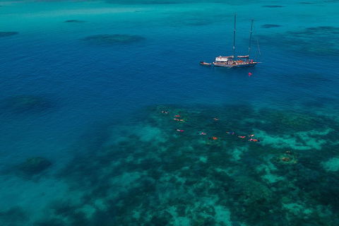 Ocean Free Green Island & Great Barrier Reef Snorkel Cruise, Cairns 25 Guests - Accommodation Melbourne 5