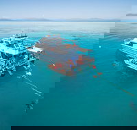 Ocean Freedom Great Barrier Reef Personal Luxury Snorkel  Dive Cruise Cairns - Melbourne 4u