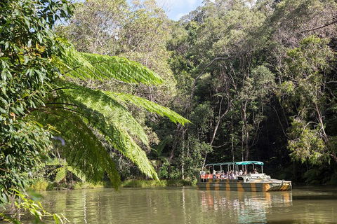 Best Of Kuranda Including Skyrail, Kuranda Scenic Railway And Rainforestation - Accommodation Melbourne 5