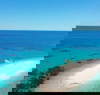 Ocean Safari Great Barrier Reef Experience in Cape Tribulation - Accommodation Melbourne