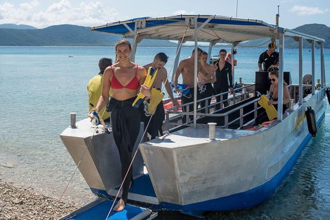 Fitzroy Island Day Trip From Cairns - Melbourne 4u 5