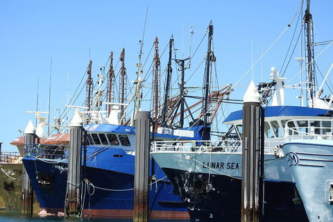 One Day Port Lincoln Tour - Tasting Eyre - Accommodation Melbourne 0