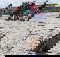 Kangaroo Island in a Day Tour from Adelaide - Accommodation Melbourne