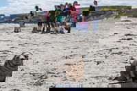 Book Viator Accommodation Vacations Accommodation Melbourne Accommodation Melbourne