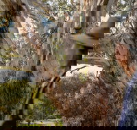 NEW TOUR - Kangaroo Island Road to Recovery Tour 1 Day/1 Night - Accommodation Melbourne