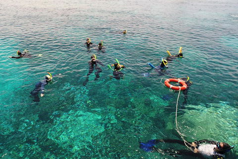 Seastar Luxury Outer Great Barrier Reef Island And Reef Tour From Cairns - Melbourne 4u 2