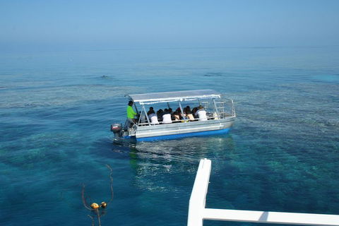 Seastar Luxury Outer Great Barrier Reef Island And Reef Tour From Cairns - Melbourne 4u 5