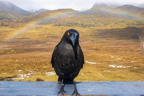 Cradle Mountain Park Explorer Guided Tour - Accommodation Melbourne 2