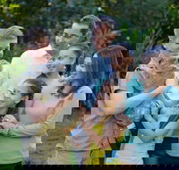 Small-Group Australia Zoo Day Trip from Brisbane - Accommodation Melbourne