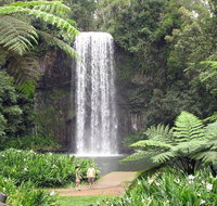 Private Daintree and Cape Tribulation Tour from Port Douglas - Accommodation Melbourne