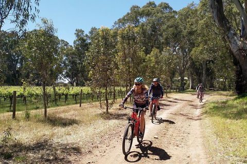 McLaren Vale Wine Tour By Bike - Accommodation Melbourne 1
