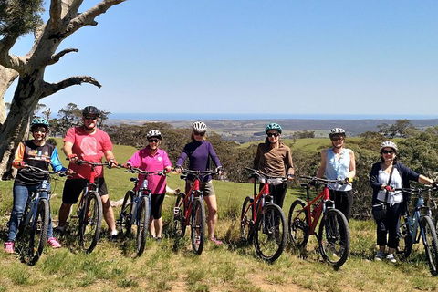 McLaren Vale Wine Tour By Bike - Accommodation Melbourne 2