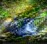 Day Tour in Mt. Field Mt. Wellington Bonorong Wildlife Sanctuary and Richmond - Accommodation Melbourne