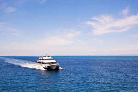 Tangalooma Island Resort Whale Watching Day Cruise - Accommodation Melbourne 5