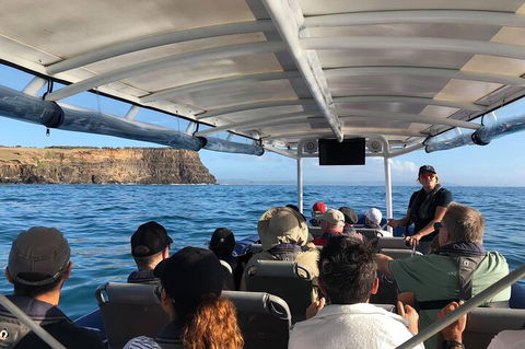 Julian Rocks Byron Bay Cruise - Melbourne 4u 4